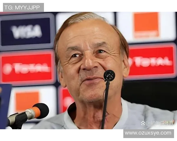 贝宁足球明星盘点:这些男球员在国际赛场上的精彩表现